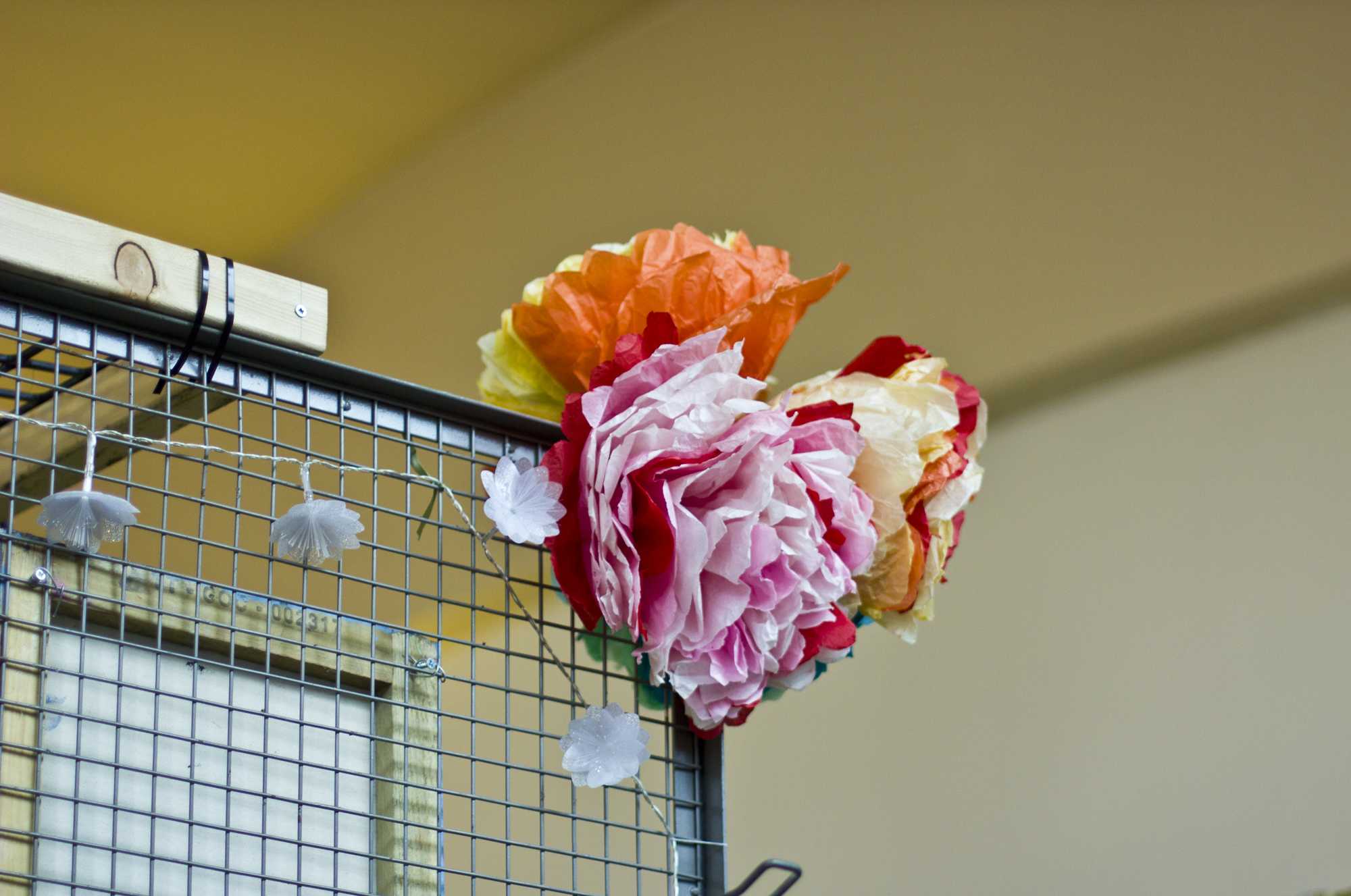 Colorful paper tissue flowers in pink, orange, and red clustered together with soft string lights on a warm dark background
